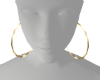 Gold Hoops