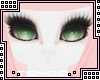 T|» Kiku Kawaii Furry