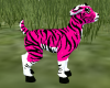 Hot Pink Tiger Goat