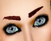 (H) Eyebrows-Auburn