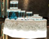 Teal Butterfly Cake 