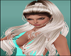 Blond Beautiful Ponytail