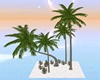 SUNSHINE Palm Trees