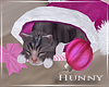 H. Kitty For Christmas