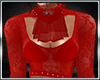 Elegant Top