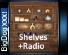 [BD]Shelves+Radio