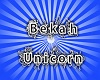 13~Bekah's Unicorn