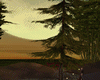 Summer Camping Park