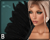 Black Raven Feathers
