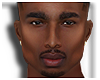 Xavier Mesh Head