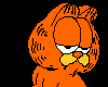[Duda] Garfield Kiss
