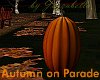 Autumn on Parade Pumpkin