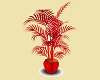 Plant in Red
