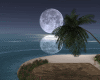 moon night island