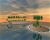 Ocean Sunset
