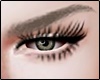 Eyebrows Platinum MH