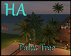 [HA]Palm Tree