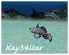 Under the Sea Fish 4