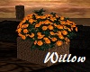 Basket of Orange Flowers