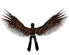 BBJ Harley Eagle Wings