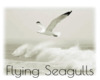 *Flying Seagulls