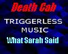 Death Cab- What Sarah...