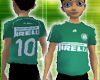 Camiseta do Palmeiras