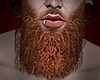 Red Beard