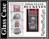 RHBE.OhioStateGlassCase