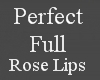 Perfect Rose Full Lips 1