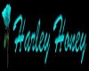 Harley Honey blue