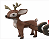 Little Deer