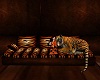 Tiger On The Couch