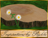 I~Garden Log Path