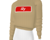 ♔ Illy Sweater