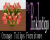 PI - Orange Tulips