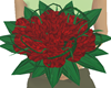 bughè rose rosse