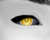 Solarius gold