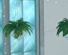 D! Hanging plants