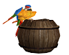 Animated Pirate Parrot