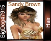 [BD] Sandy Brown Hair