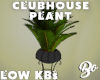 *BO PLANT CLUBHOUSE 3