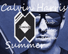 summer/Calvin Harris