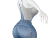 Tight Overalls & BS W2