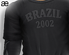 æ Brazil 2002