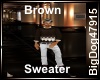 [BD] Brown Sweater