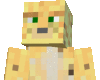 MC Ocelot skin avatar