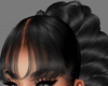 Arve Black/Bangs