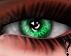 MS - Green Eye