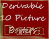 P9]Derivable 10 Pictures